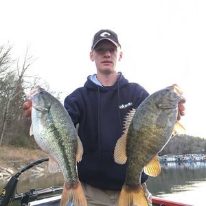 Meet your Posher, Brady